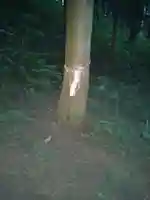 稲荷社(宮城県)