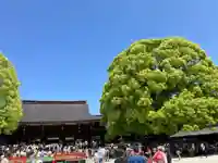 明治神宮(東京都)