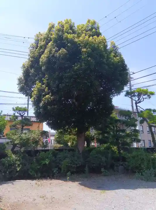 圓隆寺(神奈川県)
