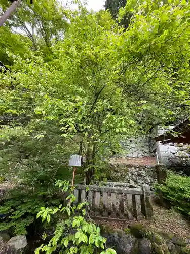 談山神社(奈良県)