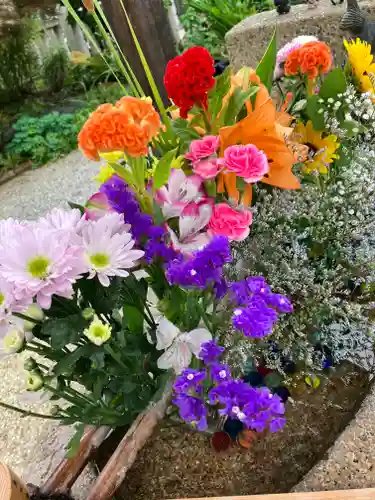 水堂須佐男神社(兵庫県)