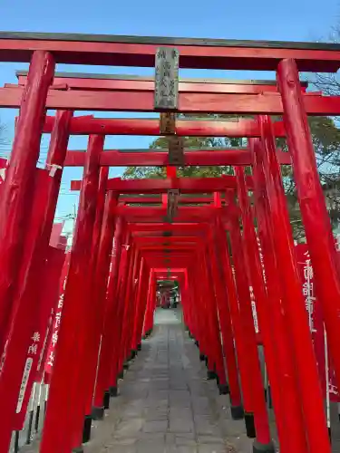 於菊稲荷神社の{uncategorized: "未分類", other: "その他", undefined: "問題あり", building: "その他建物", grave: "お墓", sacred_gate: "鳥居", guardian: "狛犬", statue: "像", buddha: "仏像", history: "歴史", nature: "自然", garden: "庭園", animal: "動物", pagoda: "塔", temizu: "手水舎", mountain_gate: "山門・神門", sanctuary: "本殿・本堂", subordinate: "末社・摂社", art: "芸術", scenery: "景色", jizo: "地蔵", ema: "絵馬", goshuin: "御朱印", omikuji: "おみくじ", items: "授与品その他", amulet: "お守り", goshuincho: "御朱印帳", eats: "食事", festival: "お祭り", votive_dance: "神楽", shichigosan: "七五三参", wedding: "結婚式", experience: "体験その他", initially: "初詣", around: "周辺", anti_infection: "感染症対策"}