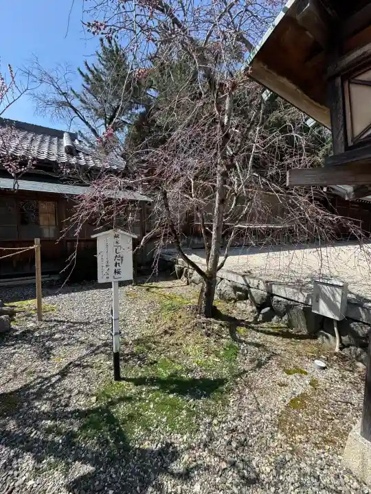 滋賀県護国神社(滋賀県)