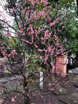 布多天神社(東京都)