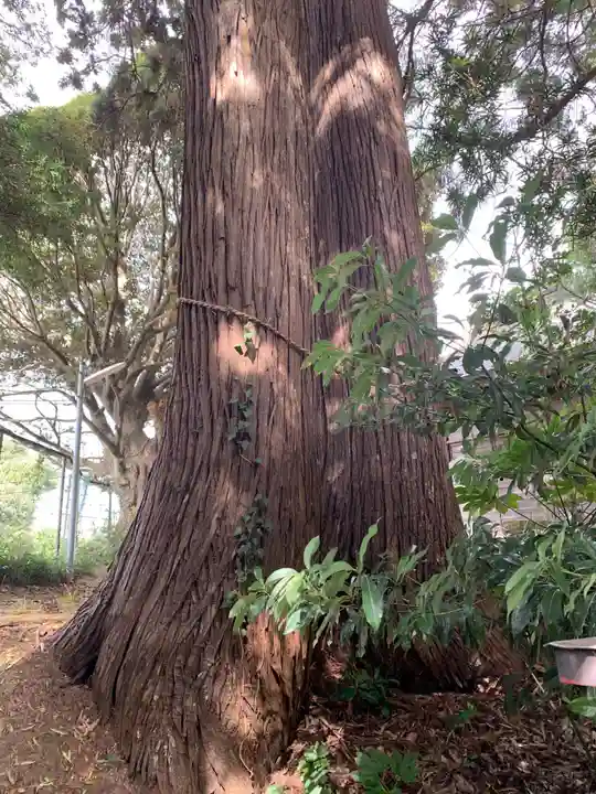 稲荷社(千葉県)