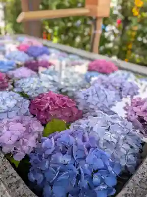 桜神宮(東京都)