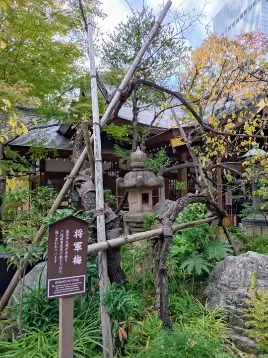 愛宕神社(東京都)