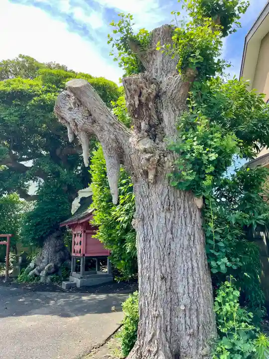 本興寺(神奈川県)