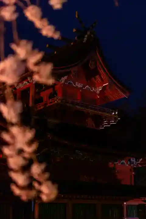 富士山本宮浅間大社(静岡県)