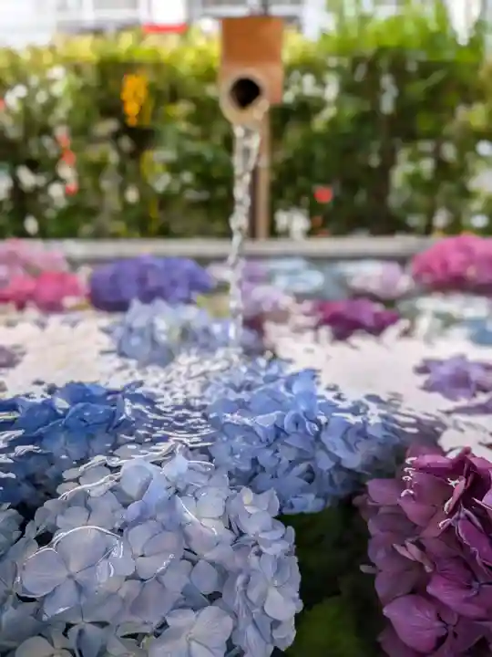 桜神宮(東京都)
