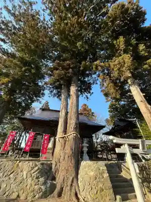 高司神社〜むすびの神の鎮まる社〜(福島県)