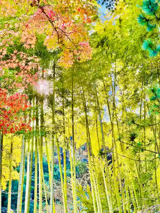 円覚寺(神奈川県)