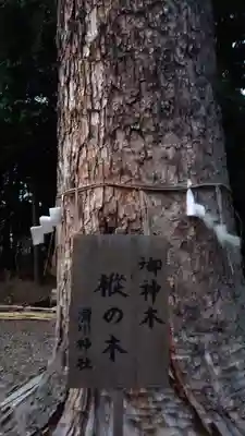 滑川神社 - 仕事と子どもの守り神のその他建物