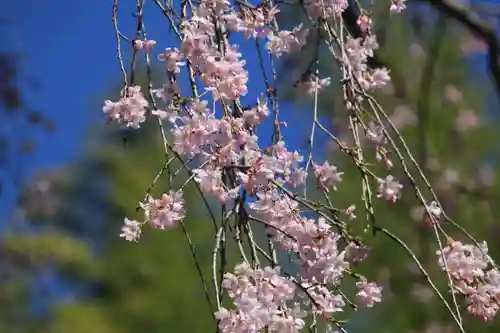 延命寺の庭園