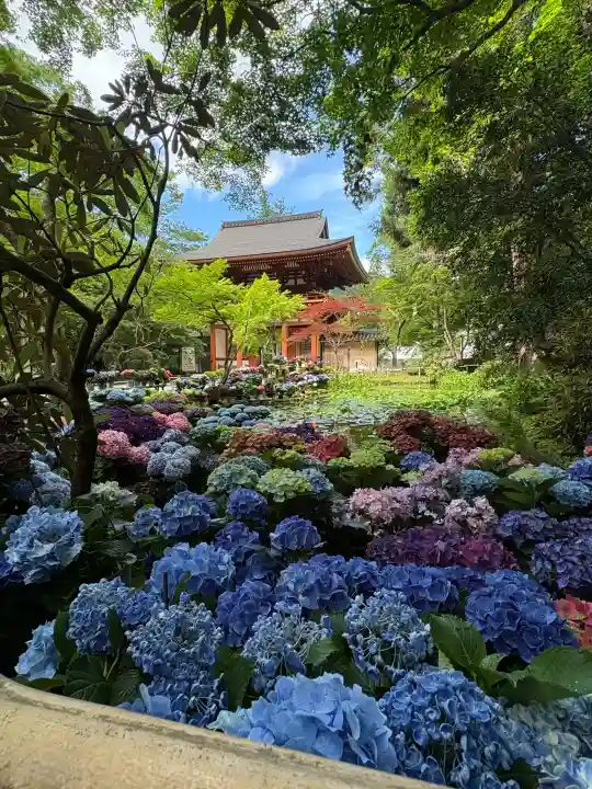 室生寺(奈良県)
