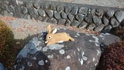 日蓮宗 総本山 塔頭 定林坊(じょうりんぼう)の狛犬