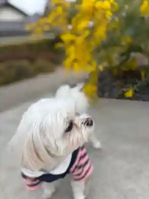 遍照寺(兵庫県)