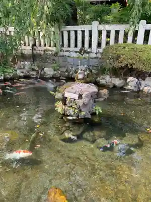 久遠寺(山梨県)