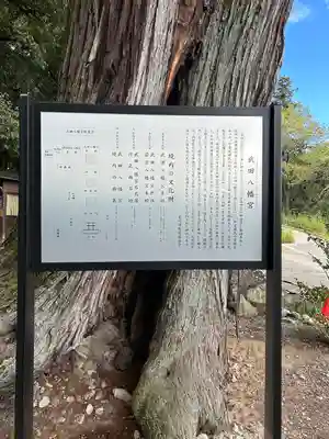 武田八幡宮(山梨県)