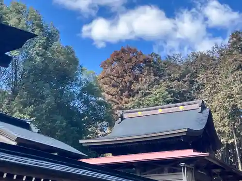 出雲伊波比神社(埼玉県)