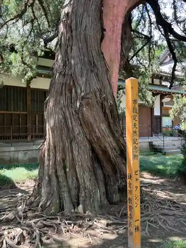 円覚寺(神奈川県)