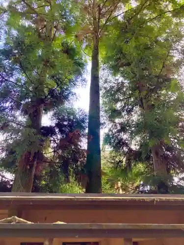 鎌数伊勢大神宮(千葉県)