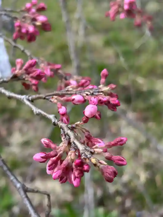 国宝 大法寺の{uncategorized: "未分類", other: "その他", undefined: "問題あり", building: "その他建物", grave: "お墓", sacred_gate: "鳥居", guardian: "狛犬", statue: "像", buddha: "仏像", history: "歴史", nature: "自然", garden: "庭園", animal: "動物", pagoda: "塔", temizu: "手水舎", mountain_gate: "山門・神門", sanctuary: "本殿・本堂", subordinate: "末社・摂社", art: "芸術", scenery: "景色", jizo: "地蔵", ema: "絵馬", goshuin: "御朱印", omikuji: "おみくじ", items: "授与品その他", amulet: "お守り", goshuincho: "御朱印帳", eats: "食事", festival: "お祭り", votive_dance: "神楽", shichigosan: "七五三参", wedding: "結婚式", experience: "体験その他", initially: "初詣", around: "周辺", anti_infection: "感染症対策"}