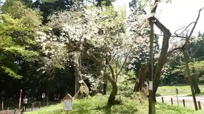 磐椅神社(福島県)