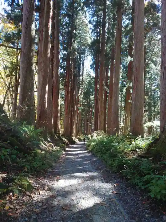 戸隠神社九頭龍社の周辺
