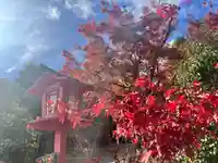 鍬山神社(京都府)