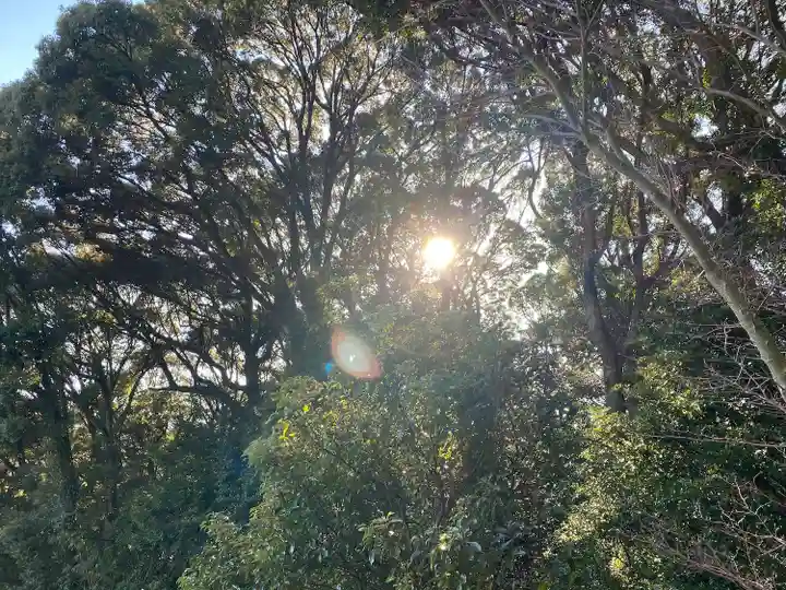 大分八幡宮(福岡県)