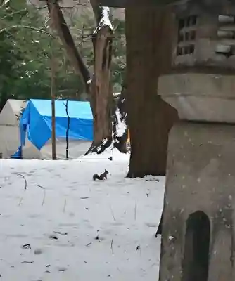 北海道神宮のその他建物