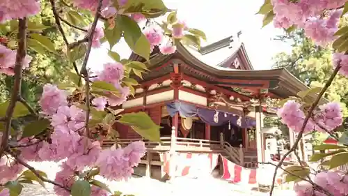 下野國一社八幡宮の本殿