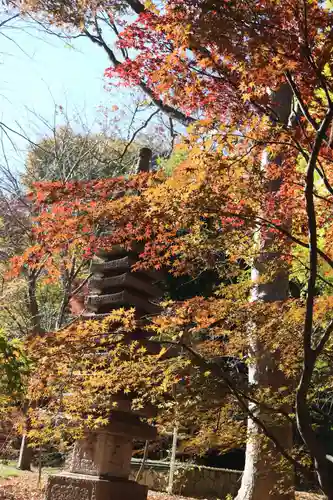 淨眞寺(東京都)