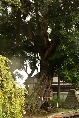 揖夜神社(島根県)