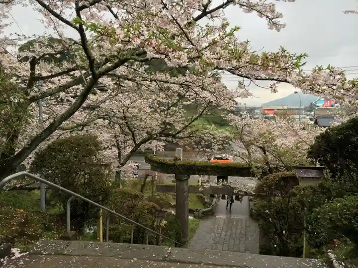 武雄神社(佐賀県)