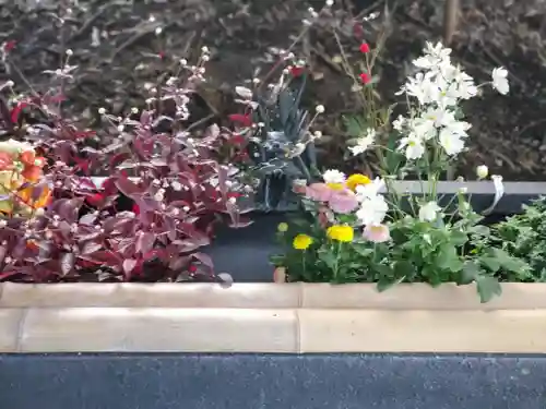 下野 星宮神社の手水舎