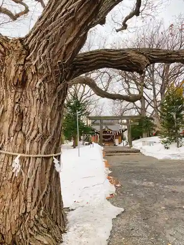 相馬神社の自然