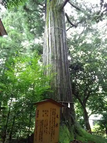 須佐神社(島根県)