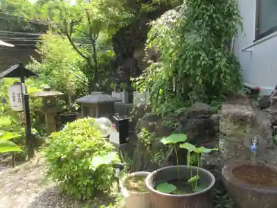 上中里西方不動尊(東京都)