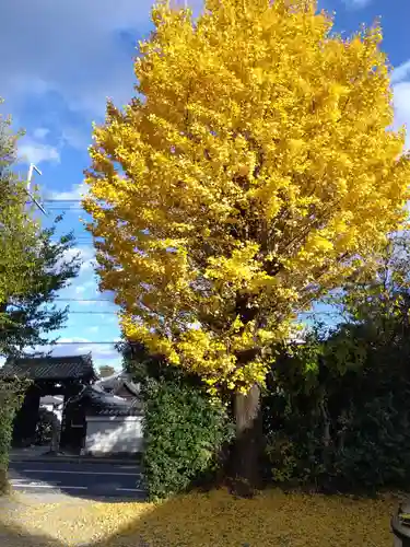 梨木神社(京都府)