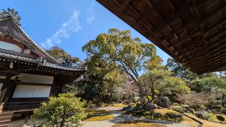 三宝院(三宝院門跡)(京都府)