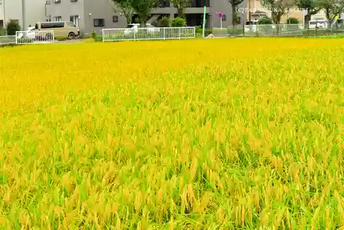 瀧神社(東京都)