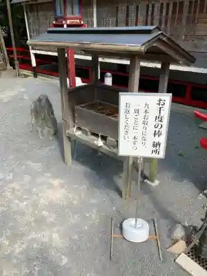 九頭竜大社(京都府)