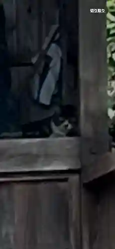 早鷹宮(福岡県)