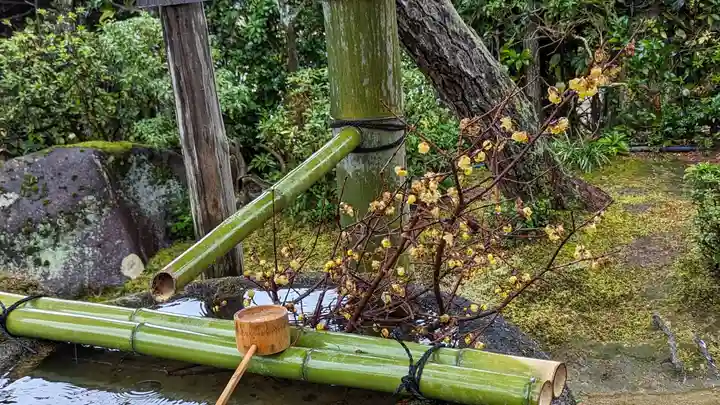 正法寺(京都府)