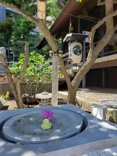 高円寺氷川神社の庭園