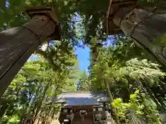 山家神社の自然