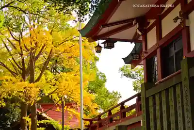 多摩川浅間神社(東京都)