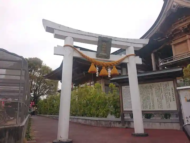 岩国白蛇神社(山口県)